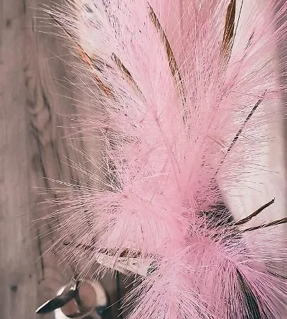 Apartman_mystic Apartment *